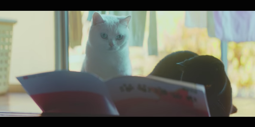 圖片來源：ユーキャン CMギャラリー／YouTube