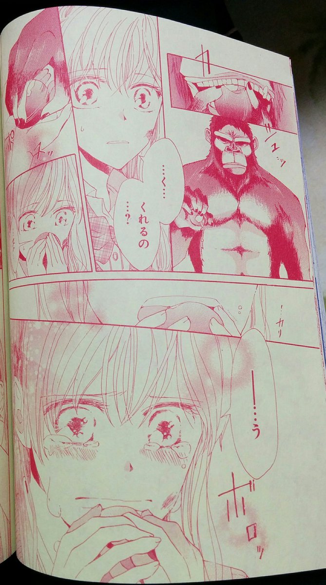 圖片來源:amamoonya/twitter