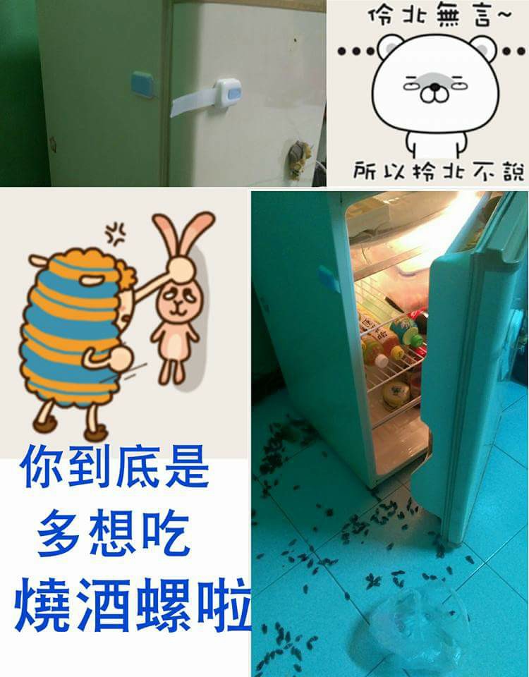 圖片來源：楊雅莉