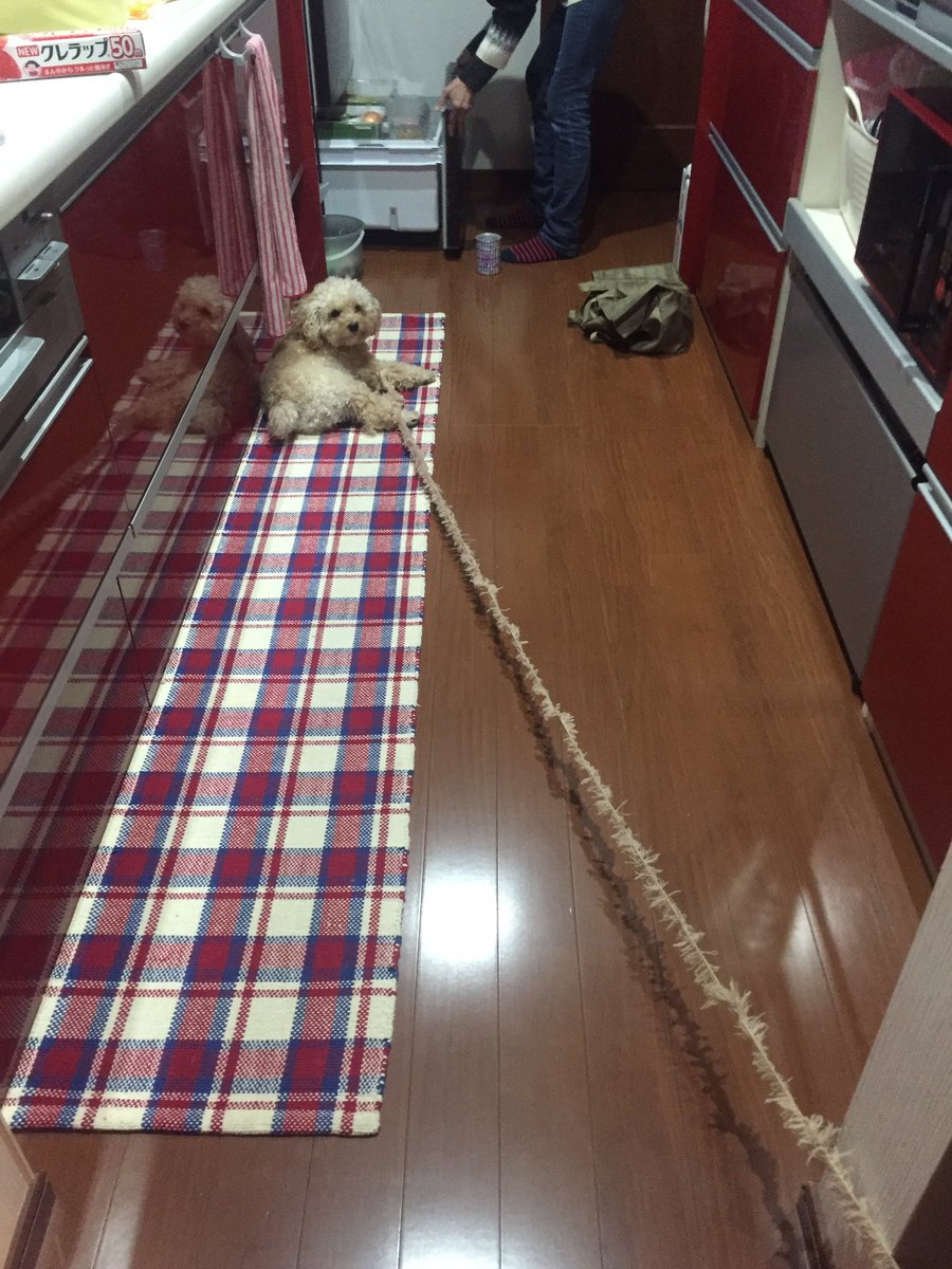 圖片來源：nana_younow／twitter