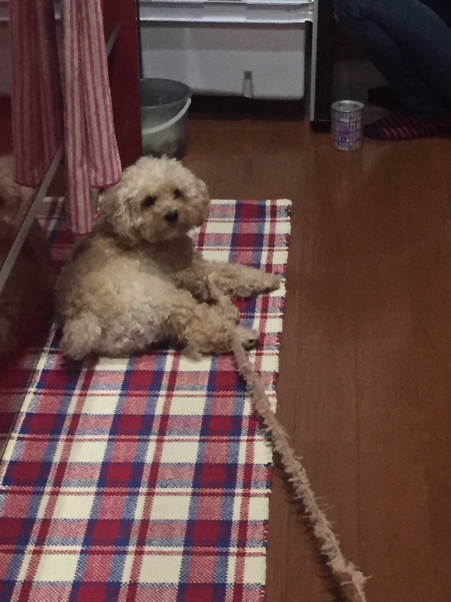 圖片來源：nana_younow／twitter