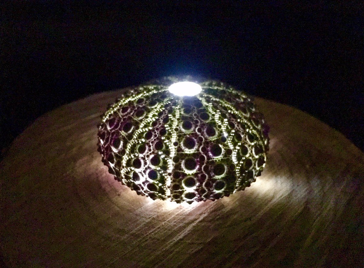 圖片來源： norateng／twitter