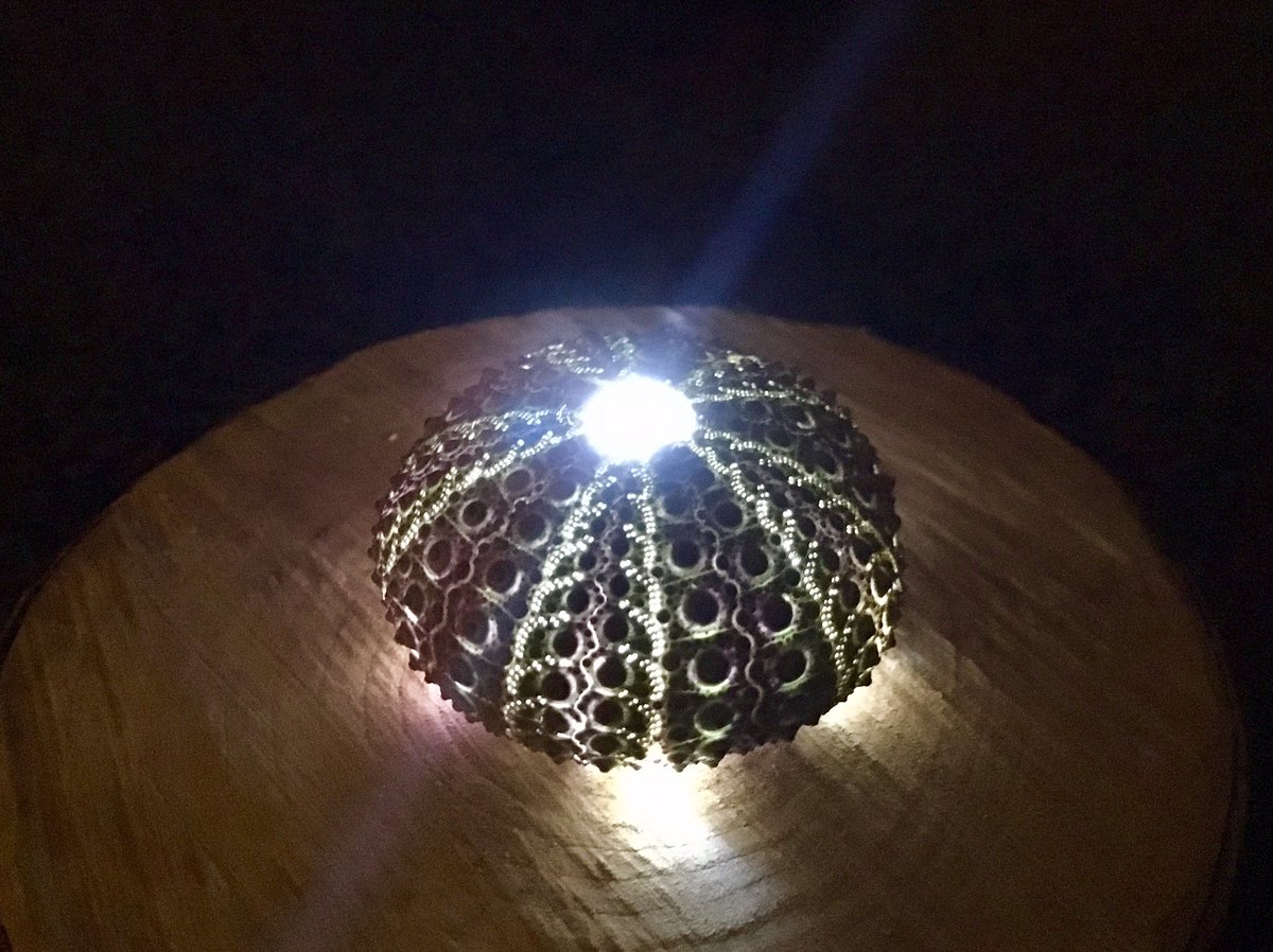 圖片來源： norateng／twitter