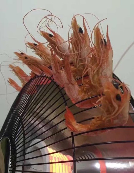 圖片來源:我們愛講冷笑話/微博