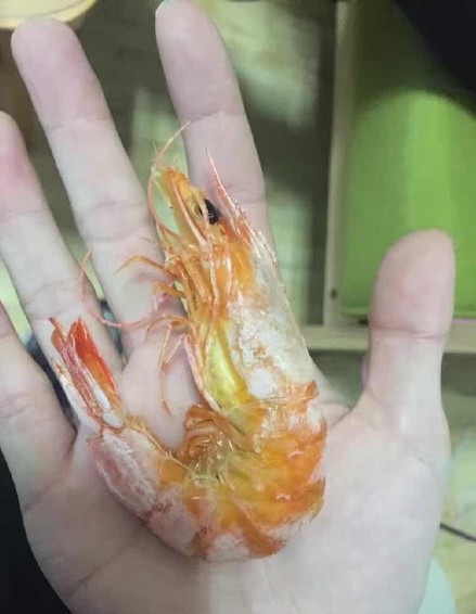 圖片來源:我們愛講冷笑話/微博