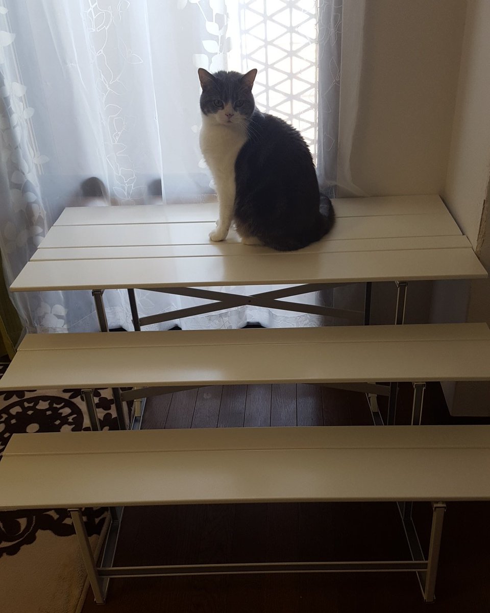 圖片來源：chocolatpluie／twitter