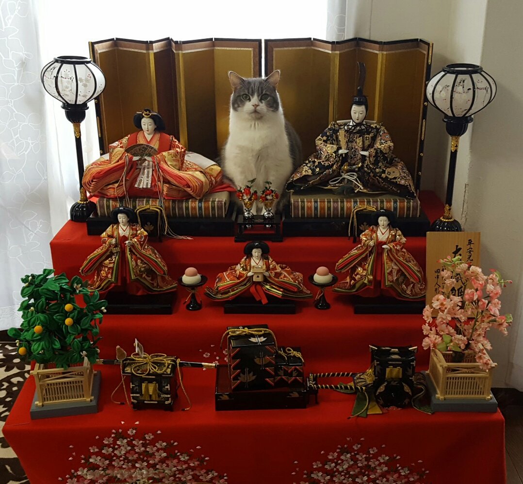 圖片來源：chocolatpluie／twitter