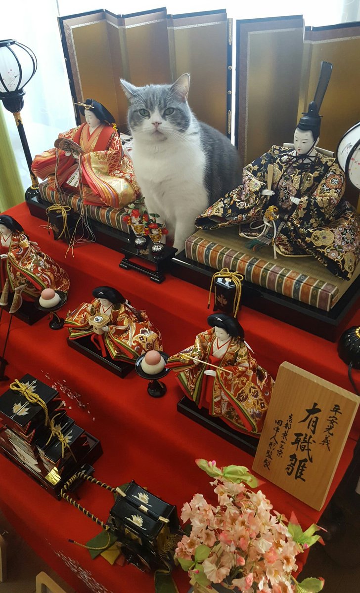 圖片來源：chocolatpluie／twitter