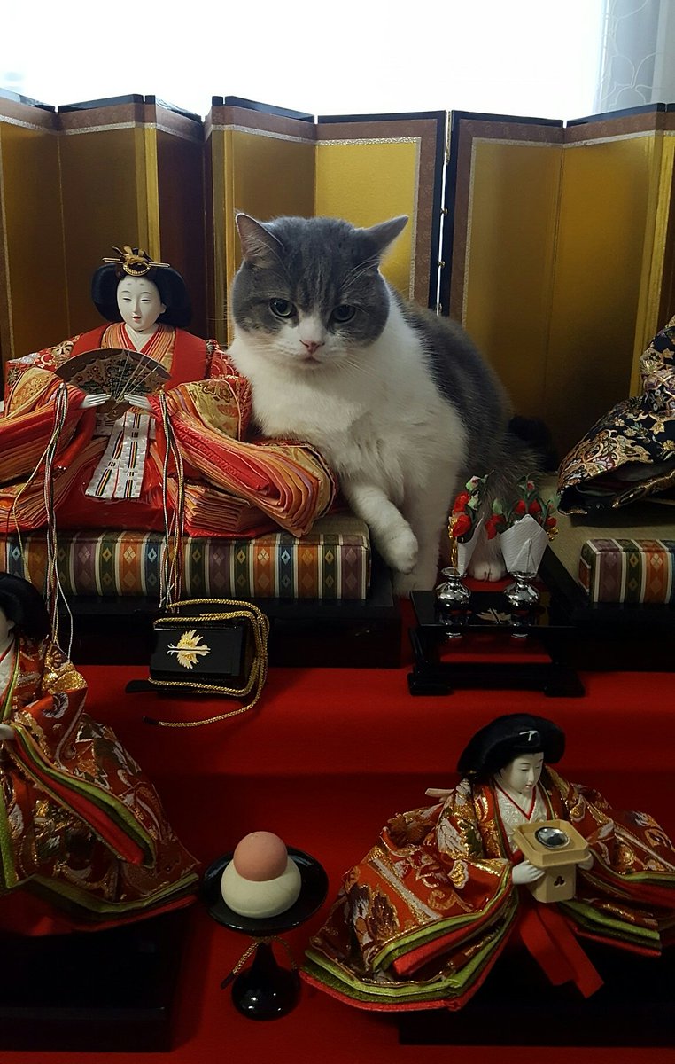 圖片來源：chocolatpluie／twitter