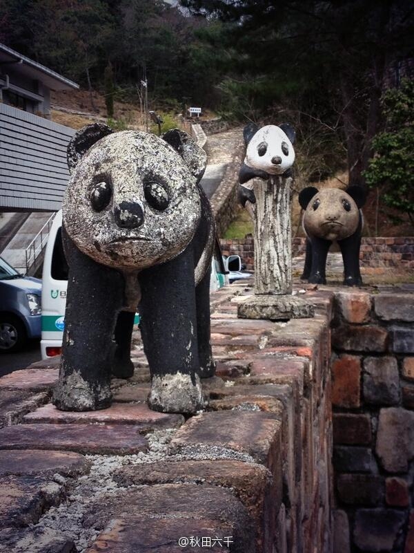 圖片來源：秋田六千／微博