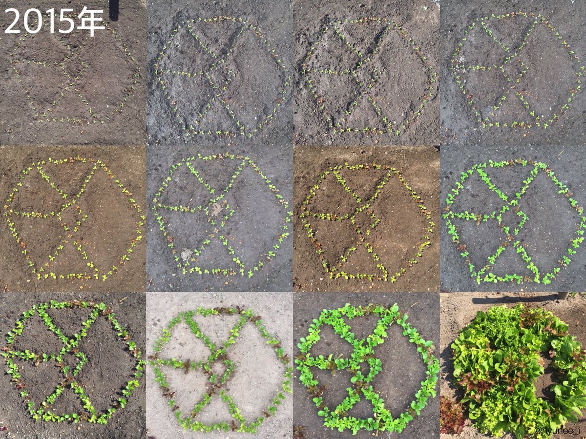 圖片來源:hyunee_i/twitter