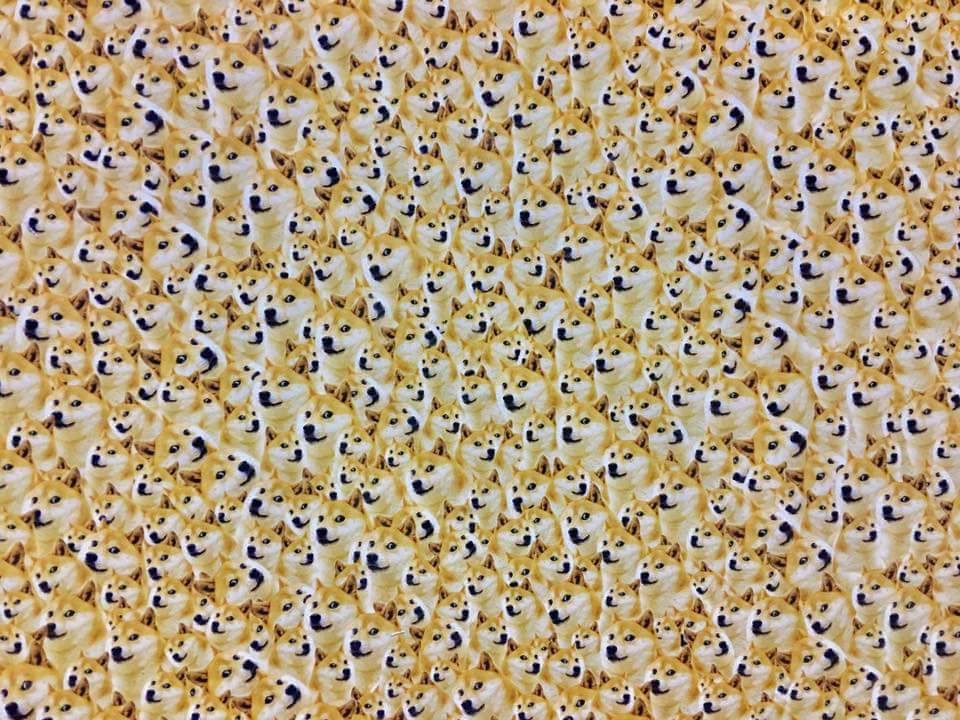 圖片來源：Ding Ding