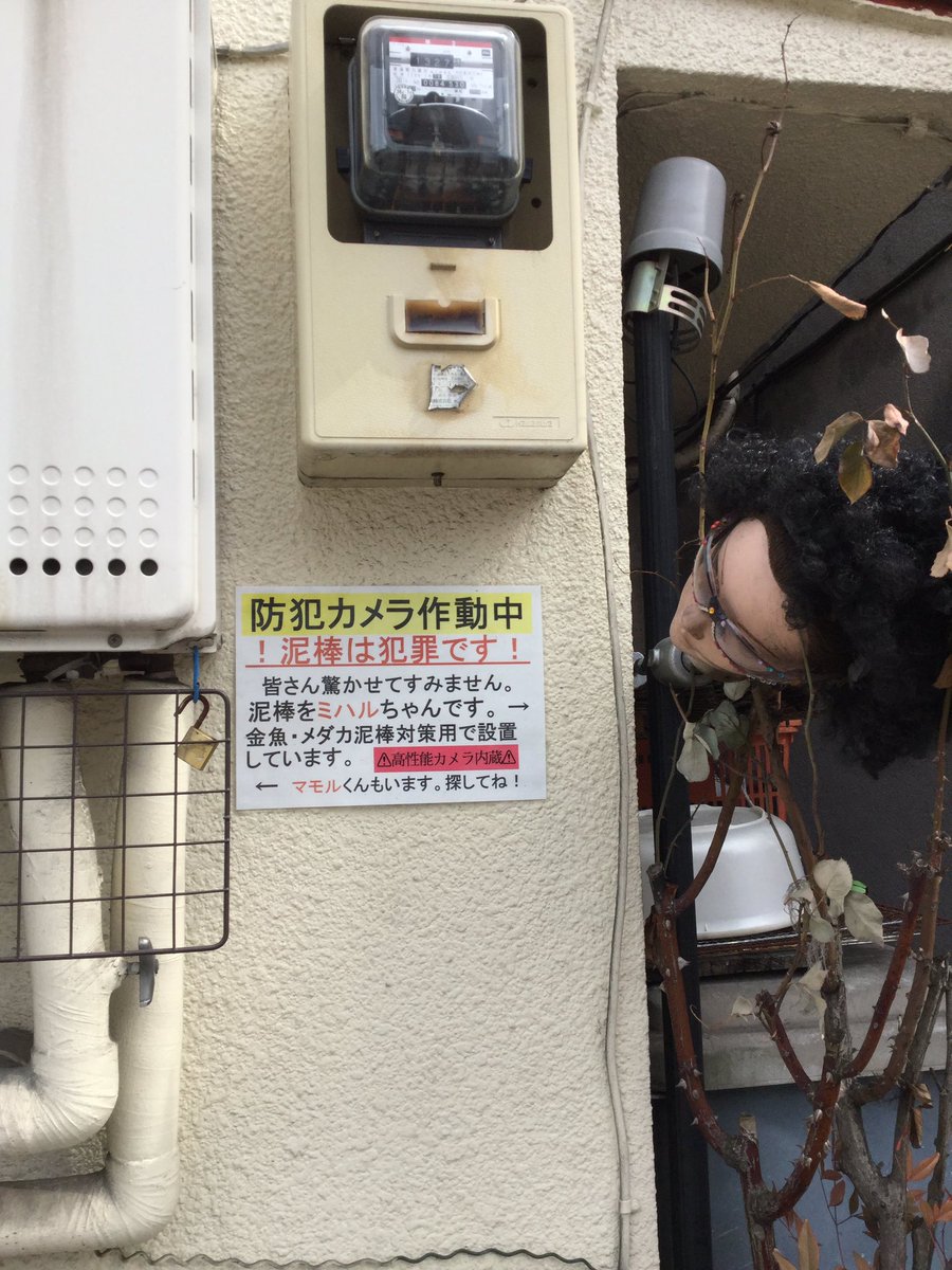 圖片來源:omott_/twitter