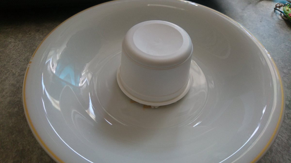 圖片來源：inava62／twitter