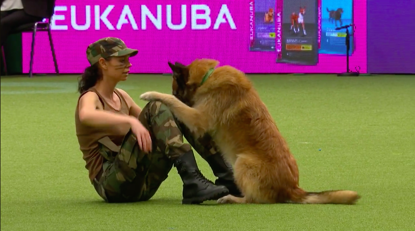 圖片來源：Crufts／Facebook