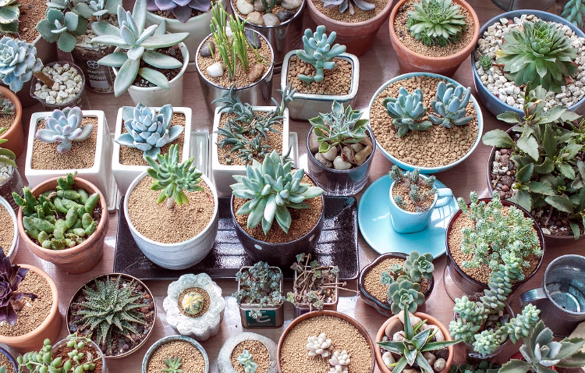 圖片來源：DECOmyplace