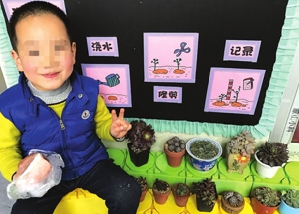 圖片來源：姑蘇晚報