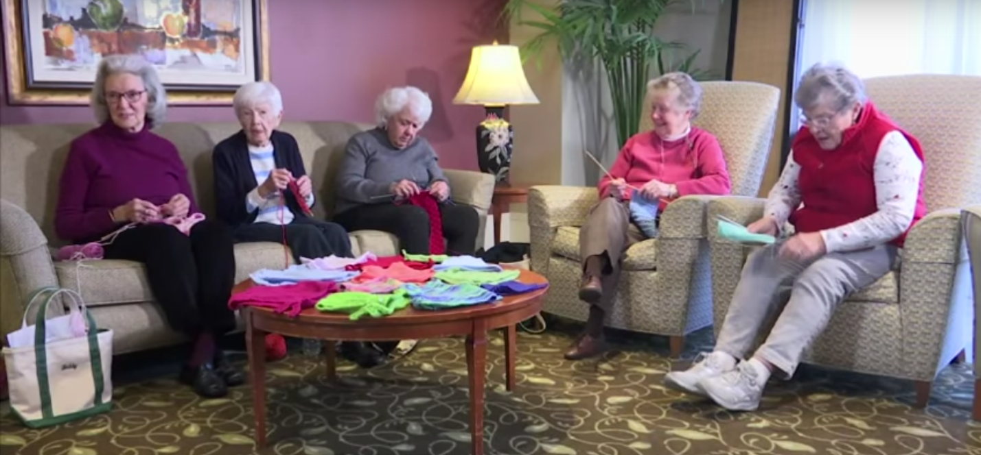 圖片來源：the Dodo