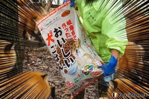 圖片來源:fox_info_net/twitter