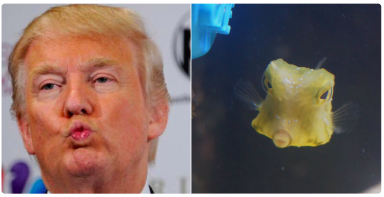 圖片來源： taylorndean／twitter