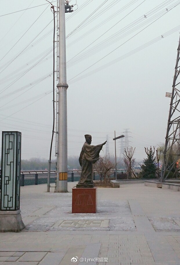 圖片來源:Lynx黑貓愛/微博