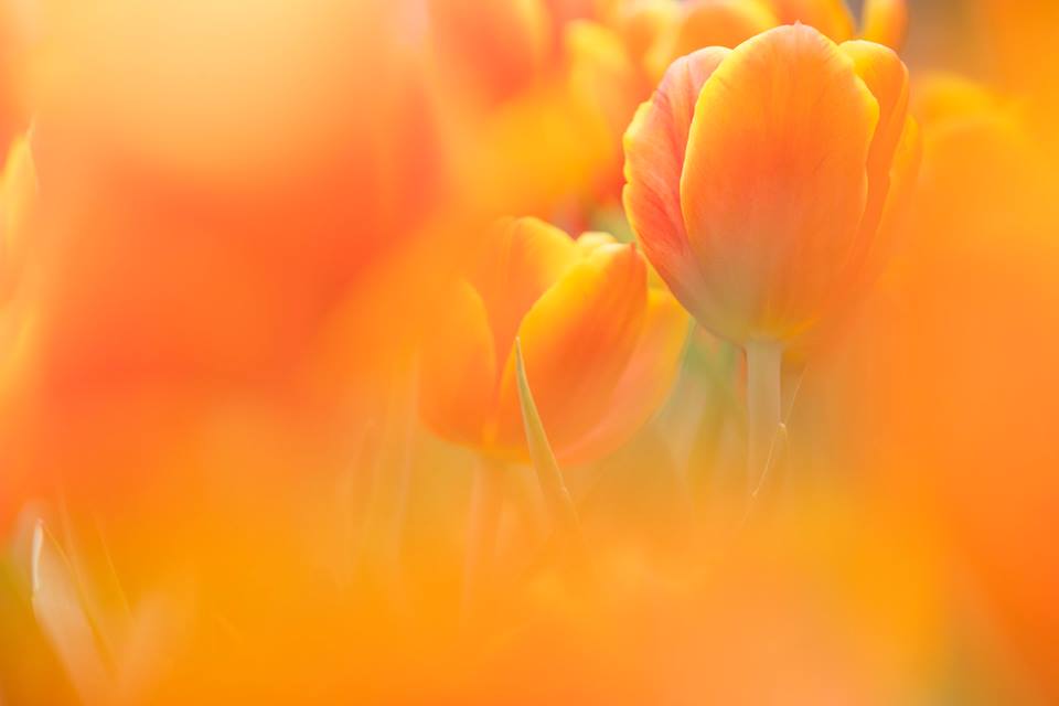 圖片來源：感謝網民t5uisiu／instagram同意轉載