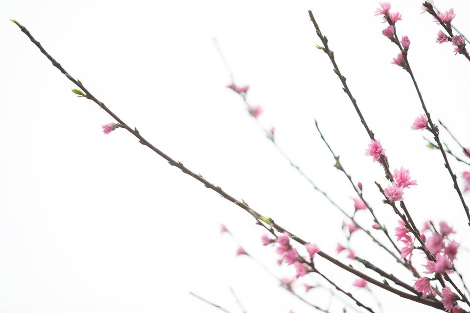 圖片來源：感謝網民t5uisiu／instagram同意轉載