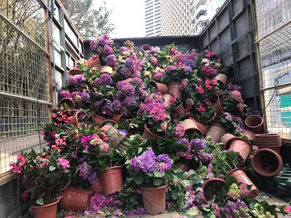 圖片來源：感謝專頁「我個世界無垃圾」同意轉載