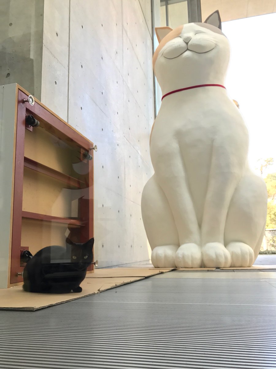 圖片來源：尾道市立美術館／twitter