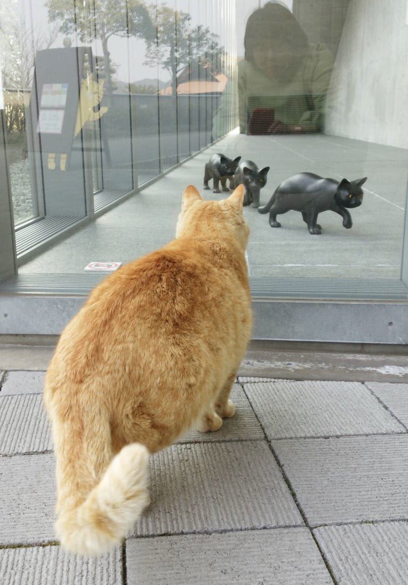 圖片來源：尾道市立美術館／twitter