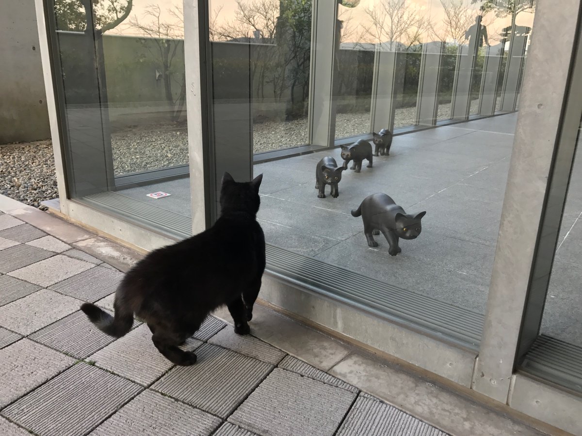 圖片來源：尾道市立美術館／twitter