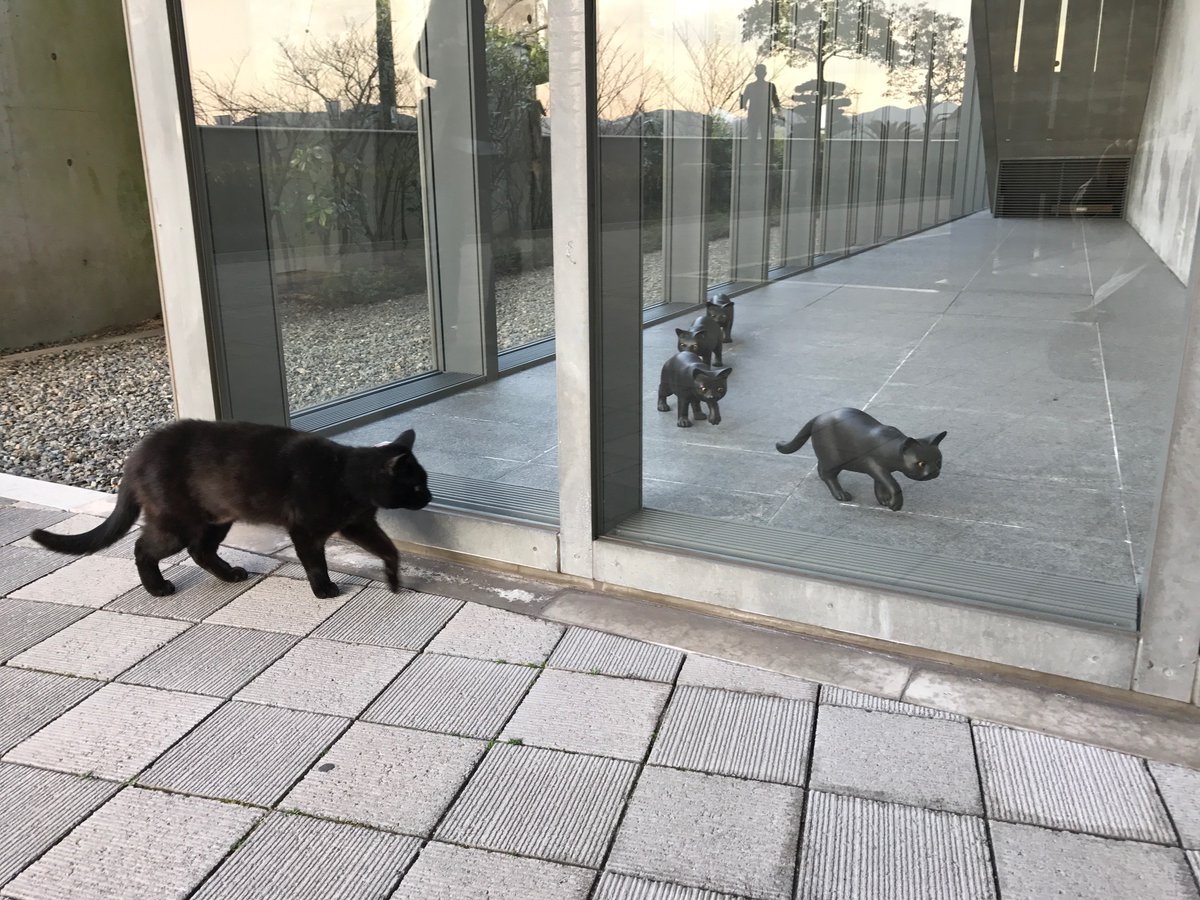 圖片來源：尾道市立美術館／twitter