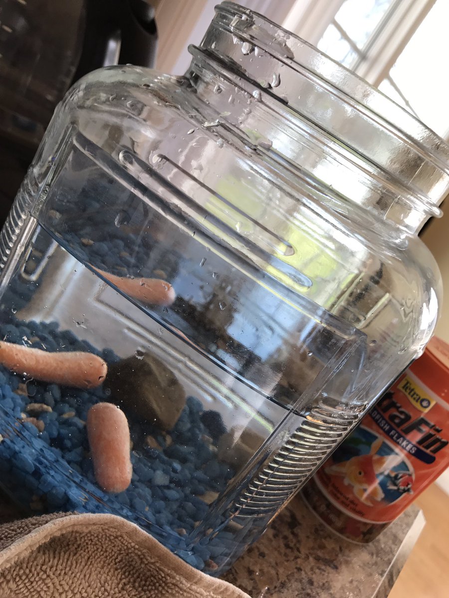 圖片來源： SamuelAnnis／twitter