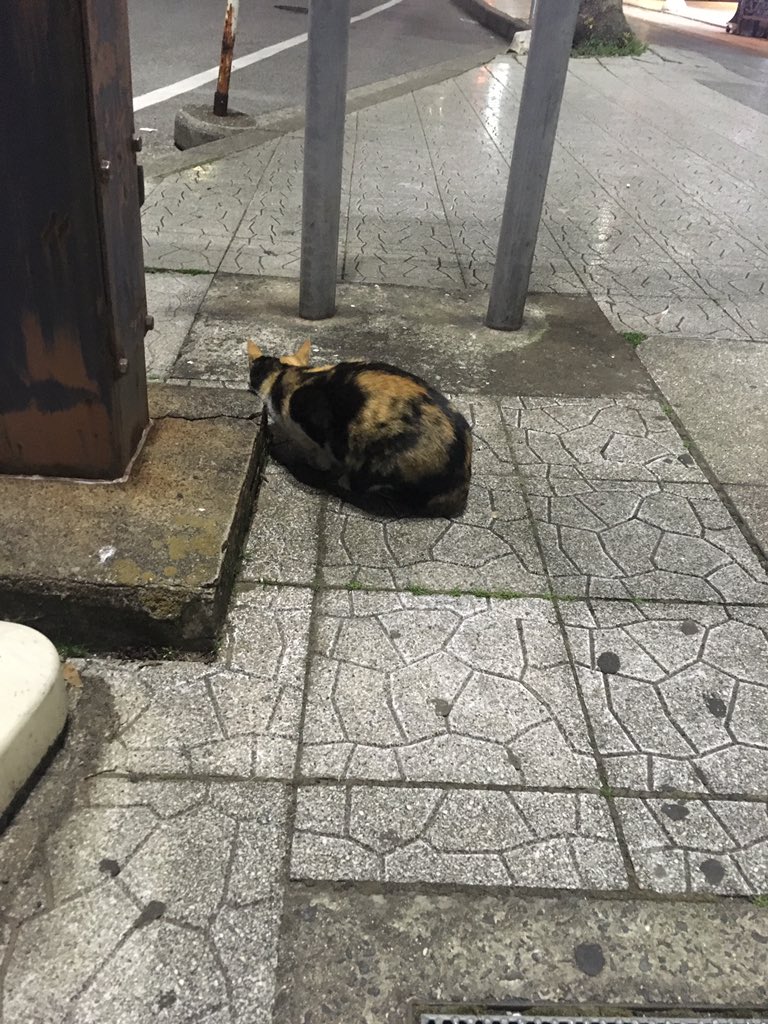 圖片來源：390giovanni66／twitter