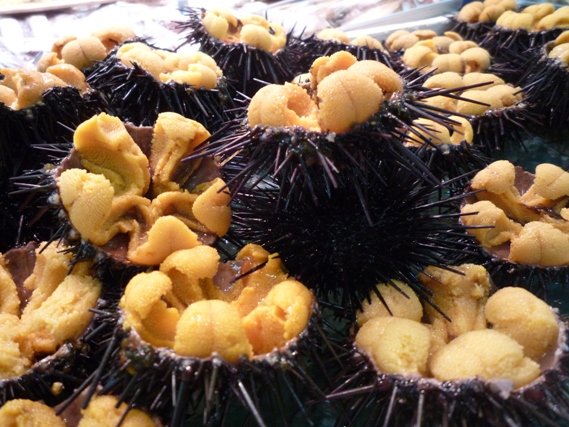 圖片來源:hi65_666/twitter