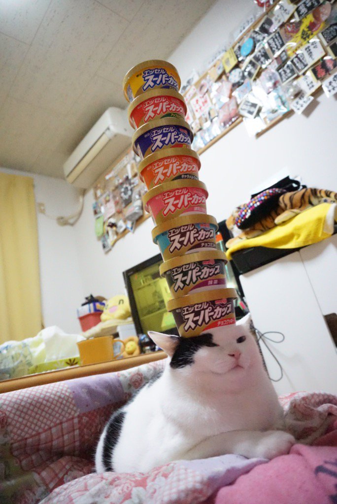 圖片來源:mrfukusuke/twitter