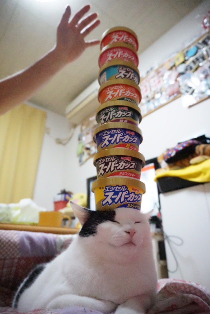 圖片來源:mrfukusuke/twitter