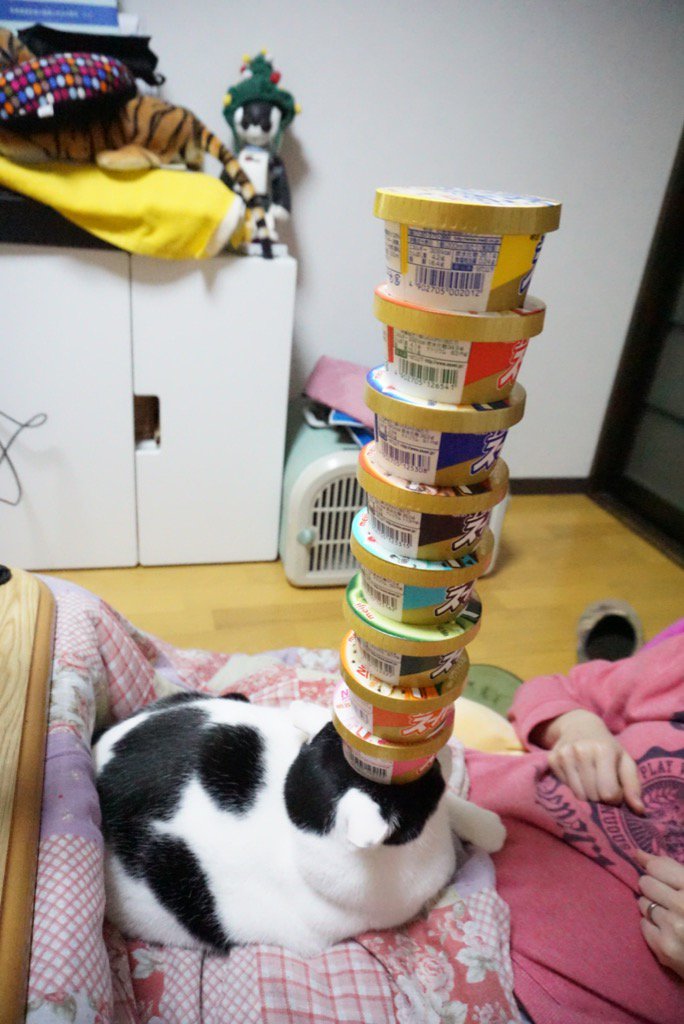 圖片來源:mrfukusuke/twitter