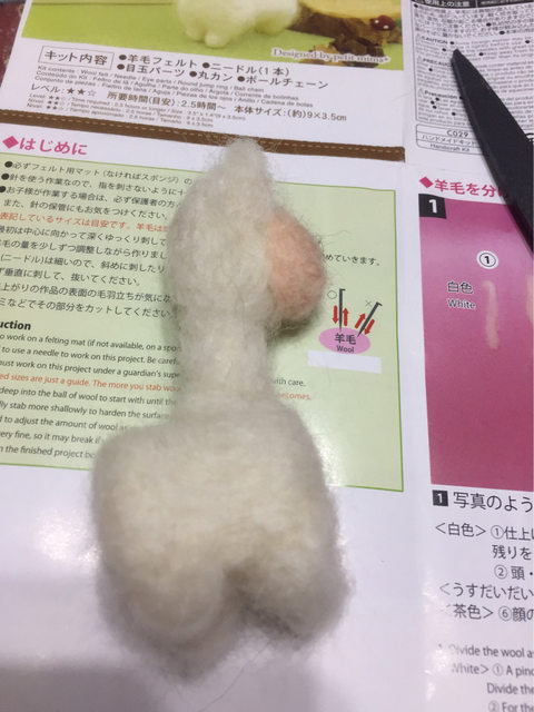 圖片來源：kuma0408／ptt