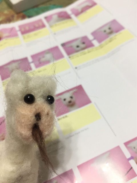 圖片來源：kuma0408／ptt