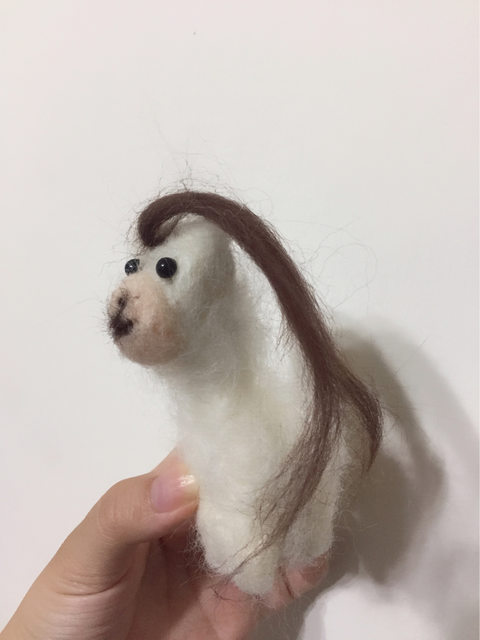 圖片來源：kuma0408／ptt