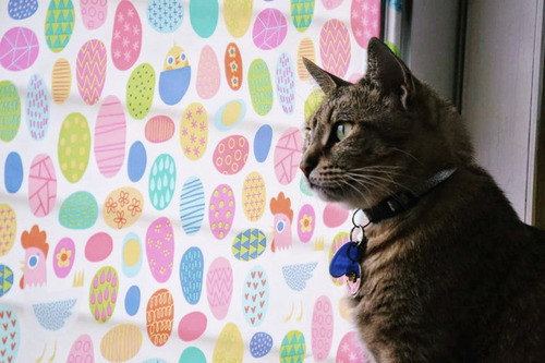 圖片來源:drewsoulman/reddit