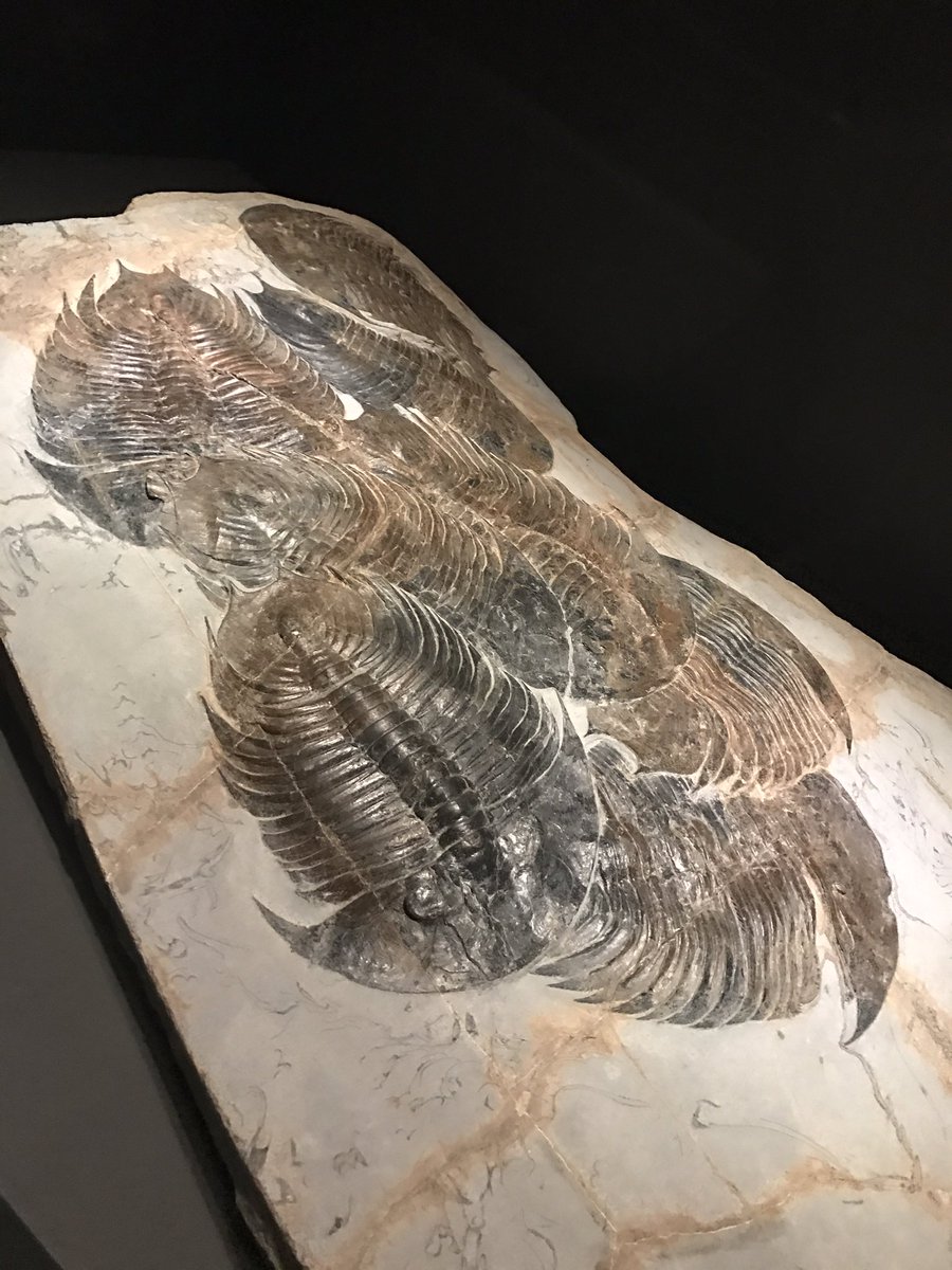 圖片來源：matome4