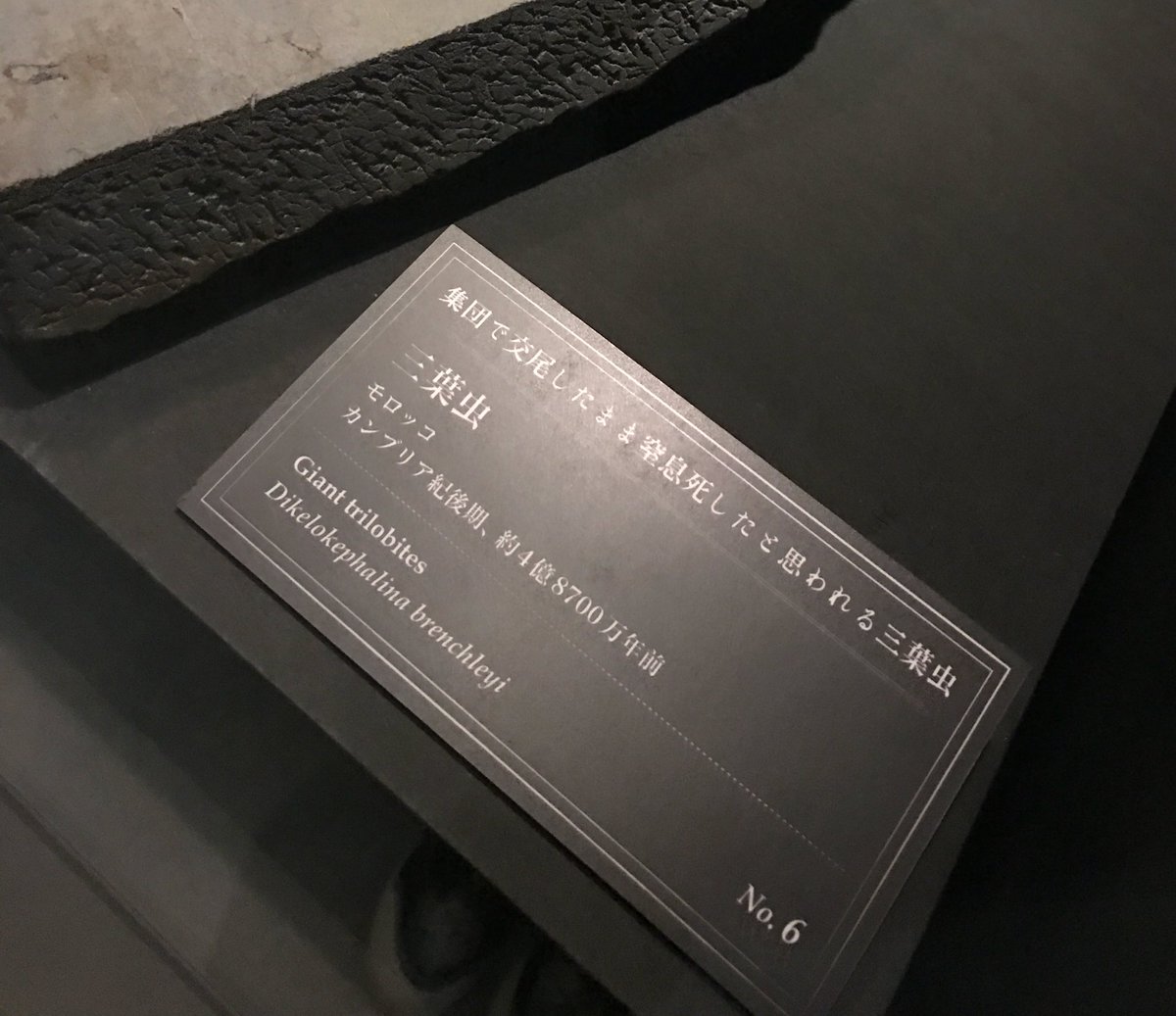 圖片來源:matome4