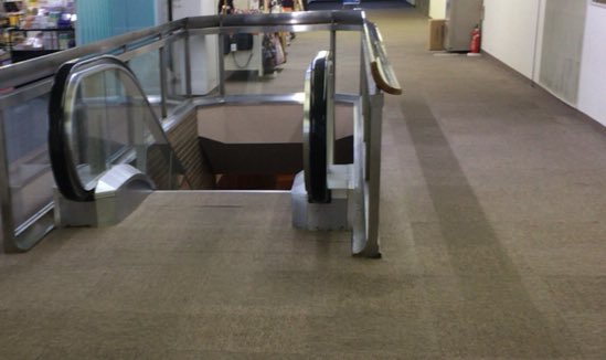 圖片來源： siramori_sawa／twitter