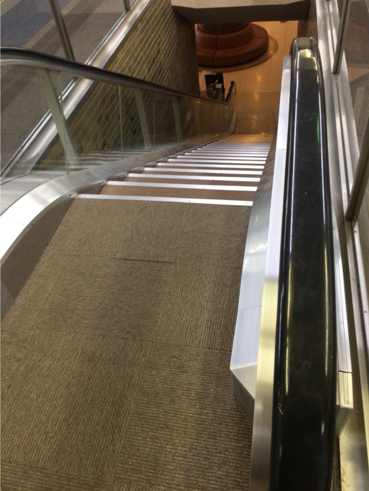 圖片來源： siramori_sawa／twitter