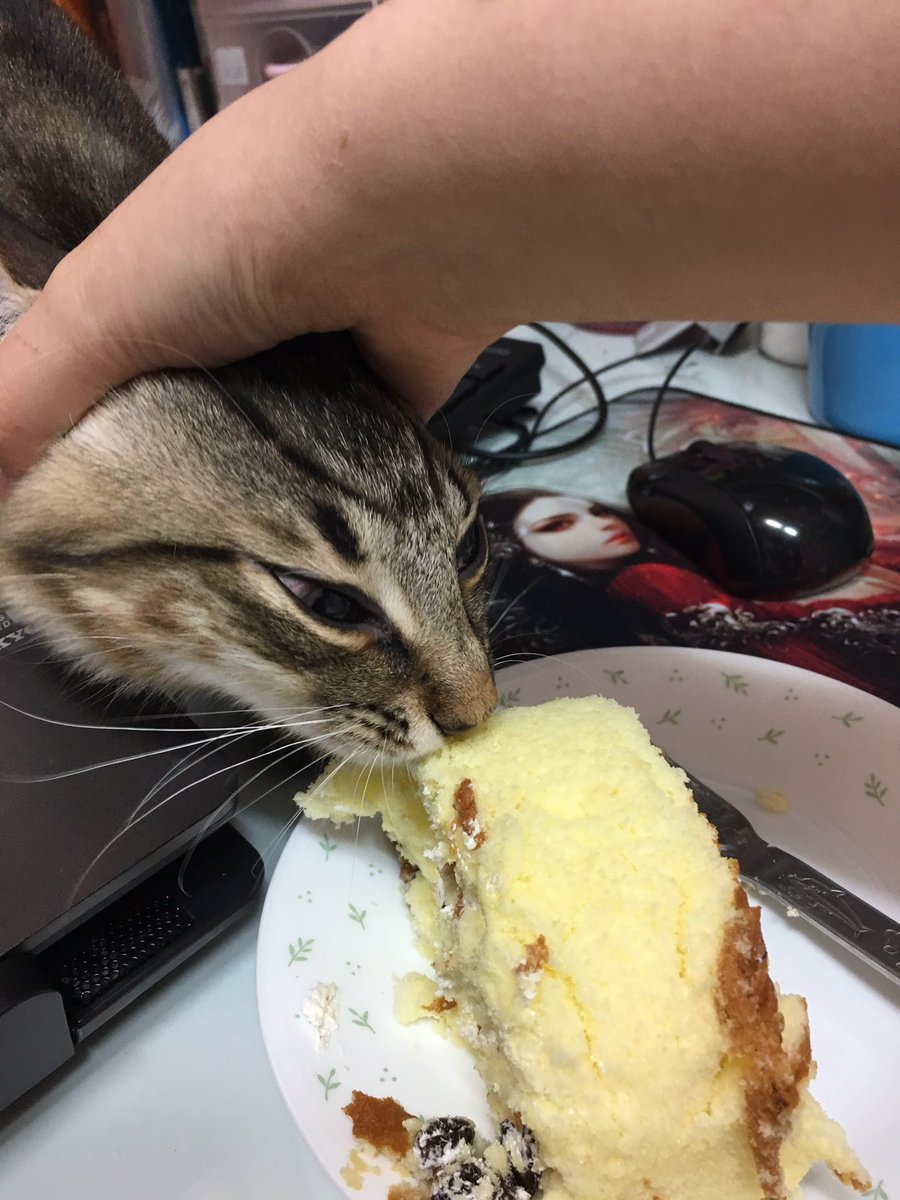 圖片來源:pandacat_garret/twitter