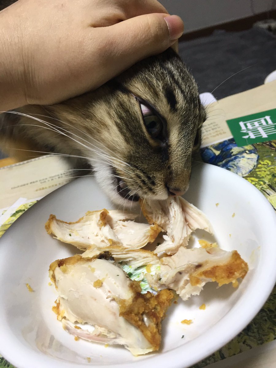 圖片來源:pandacat_garret/twitter