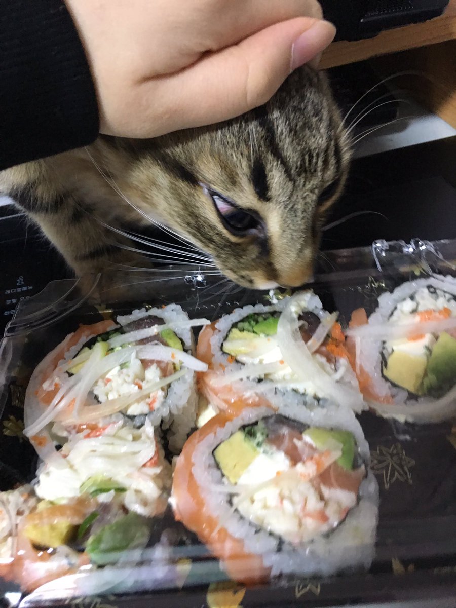 圖片來源:pandacat_garret/twitter