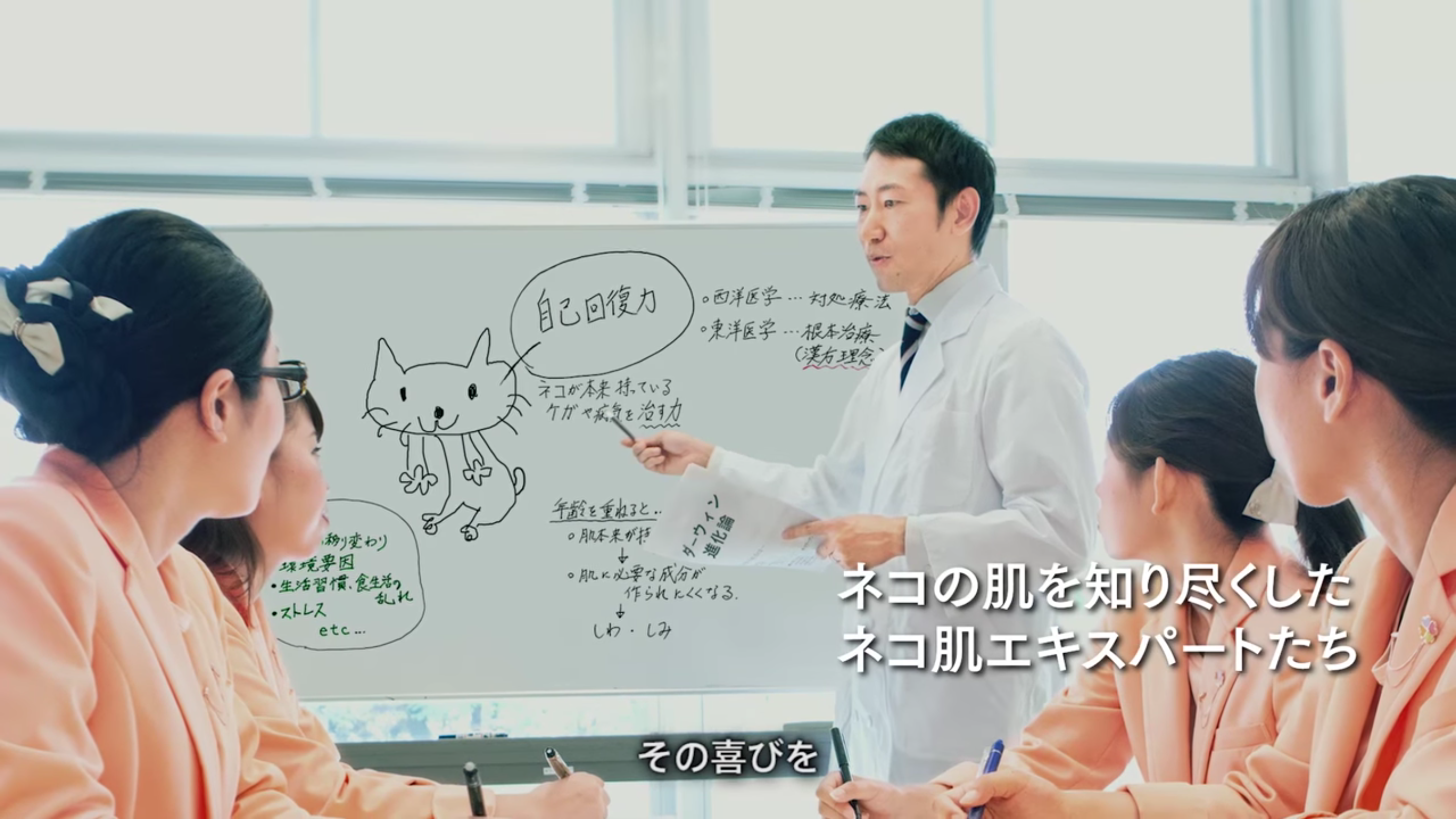 圖片來源：ドモホルンリンクル（薬彩工園・工場）